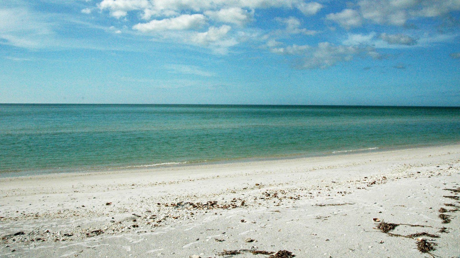 View of the Gulf of Mexico from the Cayo Costa Island in Florida