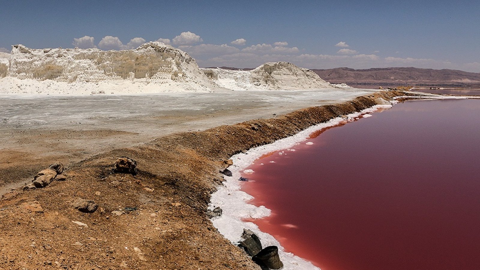 Red algal bloom and red tides in Maharloo Lake