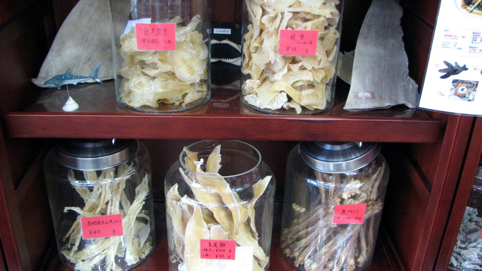 Collection of different body parts of sharks, including fins and tongues
