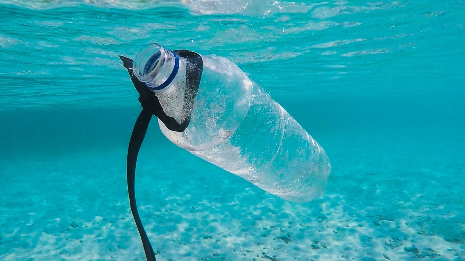 plastic bottle floating in the ocean symbolizing plastic pollution