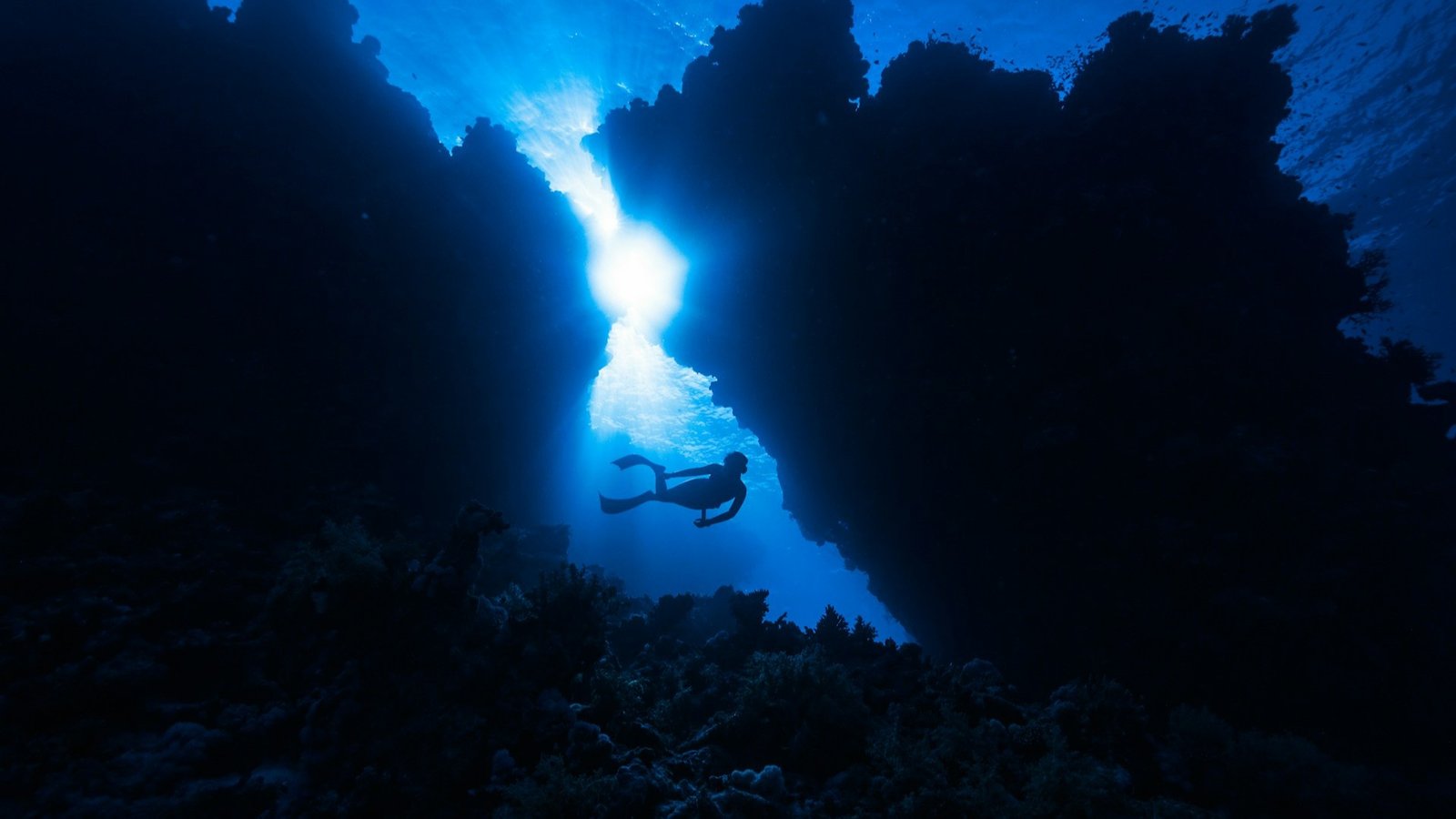 Scuba diver exploring the underwater world near coral reefs