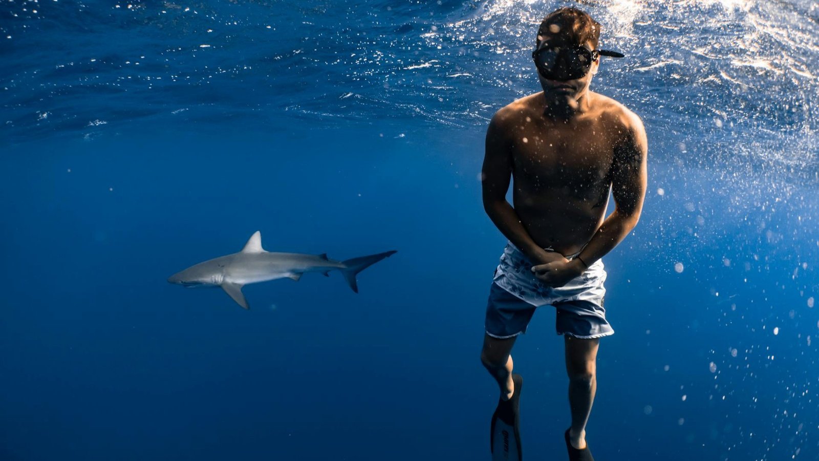 Male scuba diver swimming near a shark