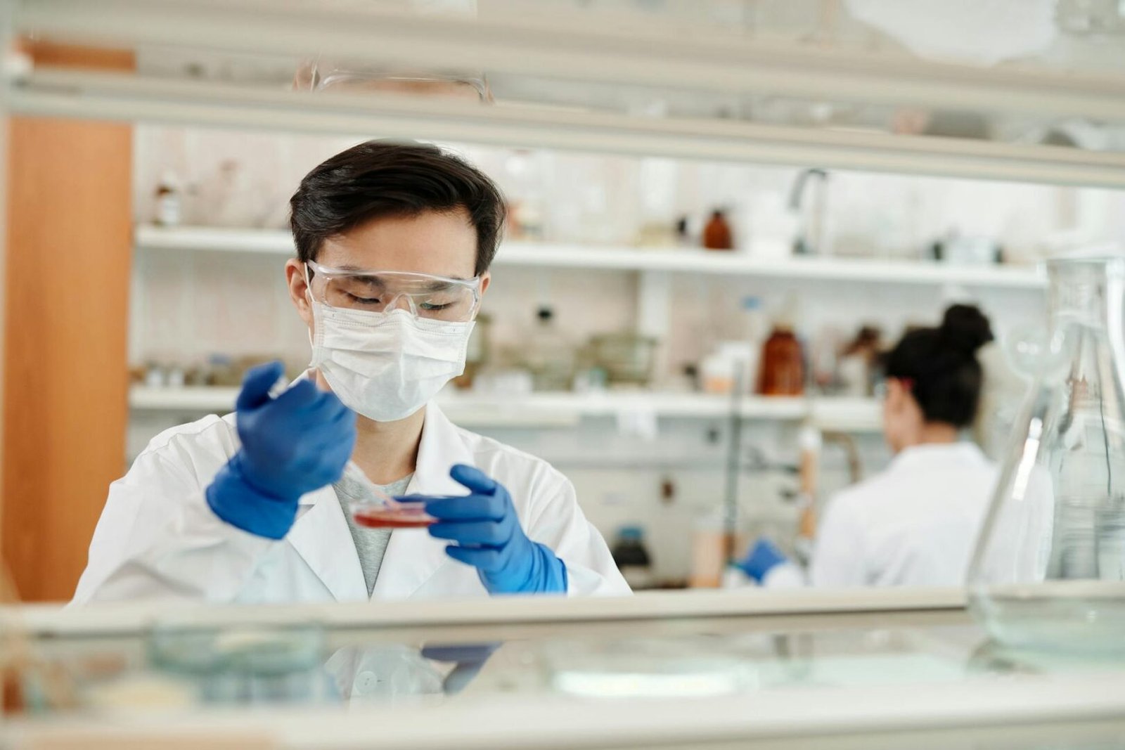Two scientists working in a laboratory