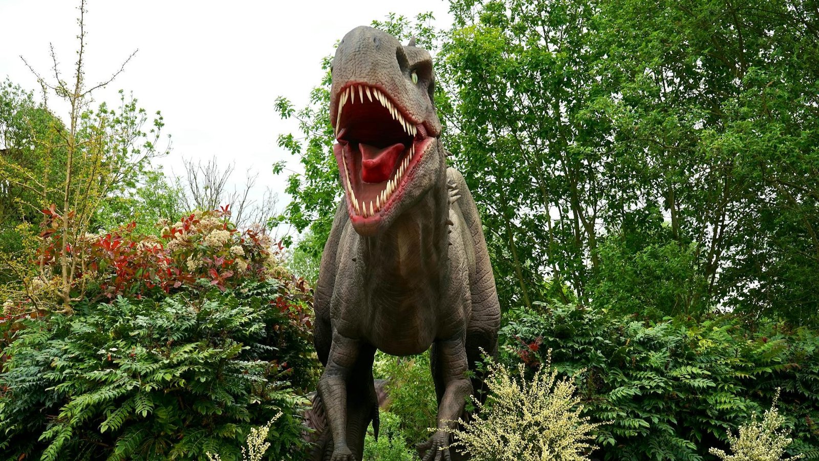 Tyrannosaurus rex statue in nature