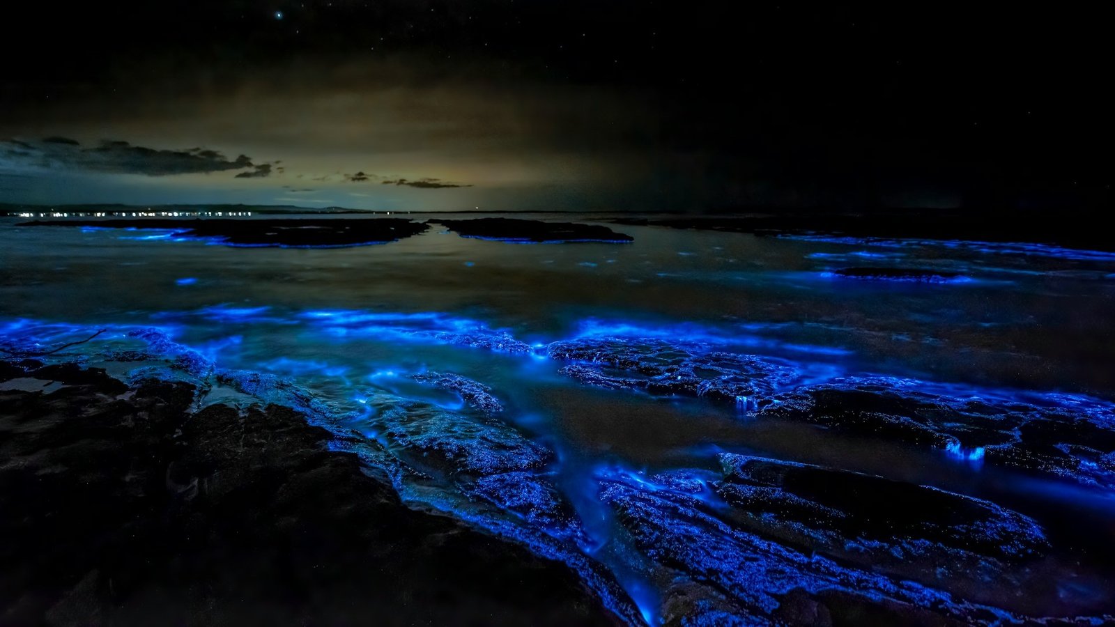 Bioluminescence in ocean waves during nighttime