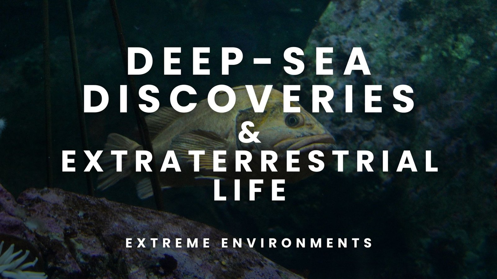 Mysterious Extraterrestrial Life: A Record-Breaking Ocean Discovery from 2024 May Rewrite Science